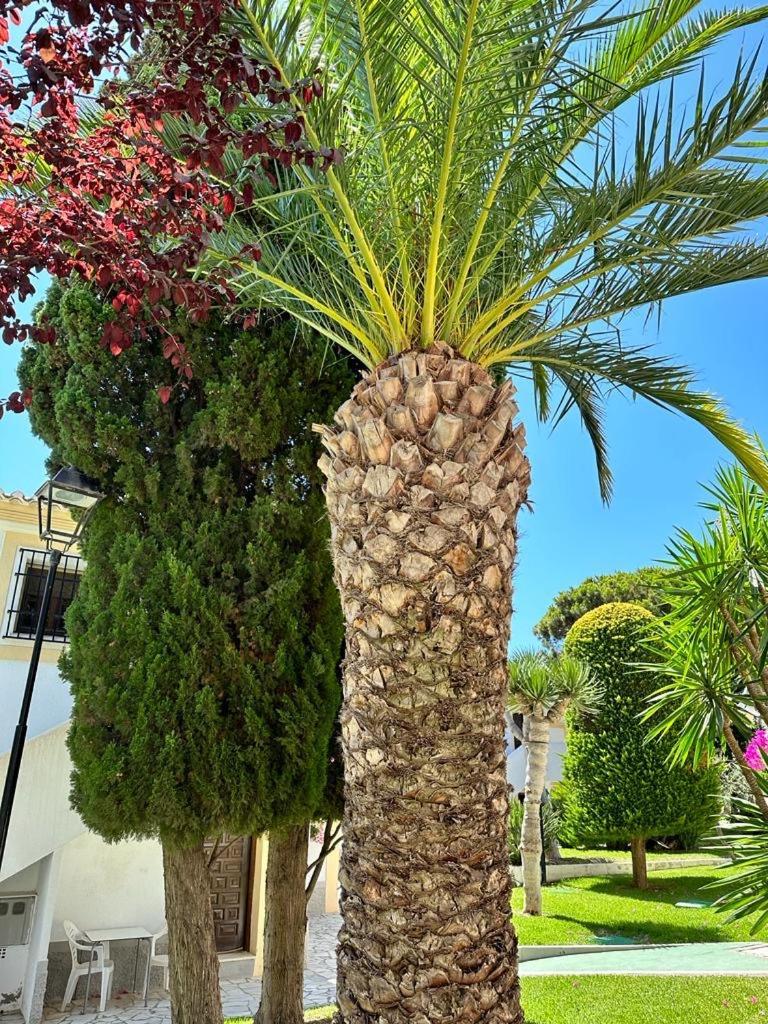 Casa De Emilia Vera Coast Playas de Vera Eksteriør billede